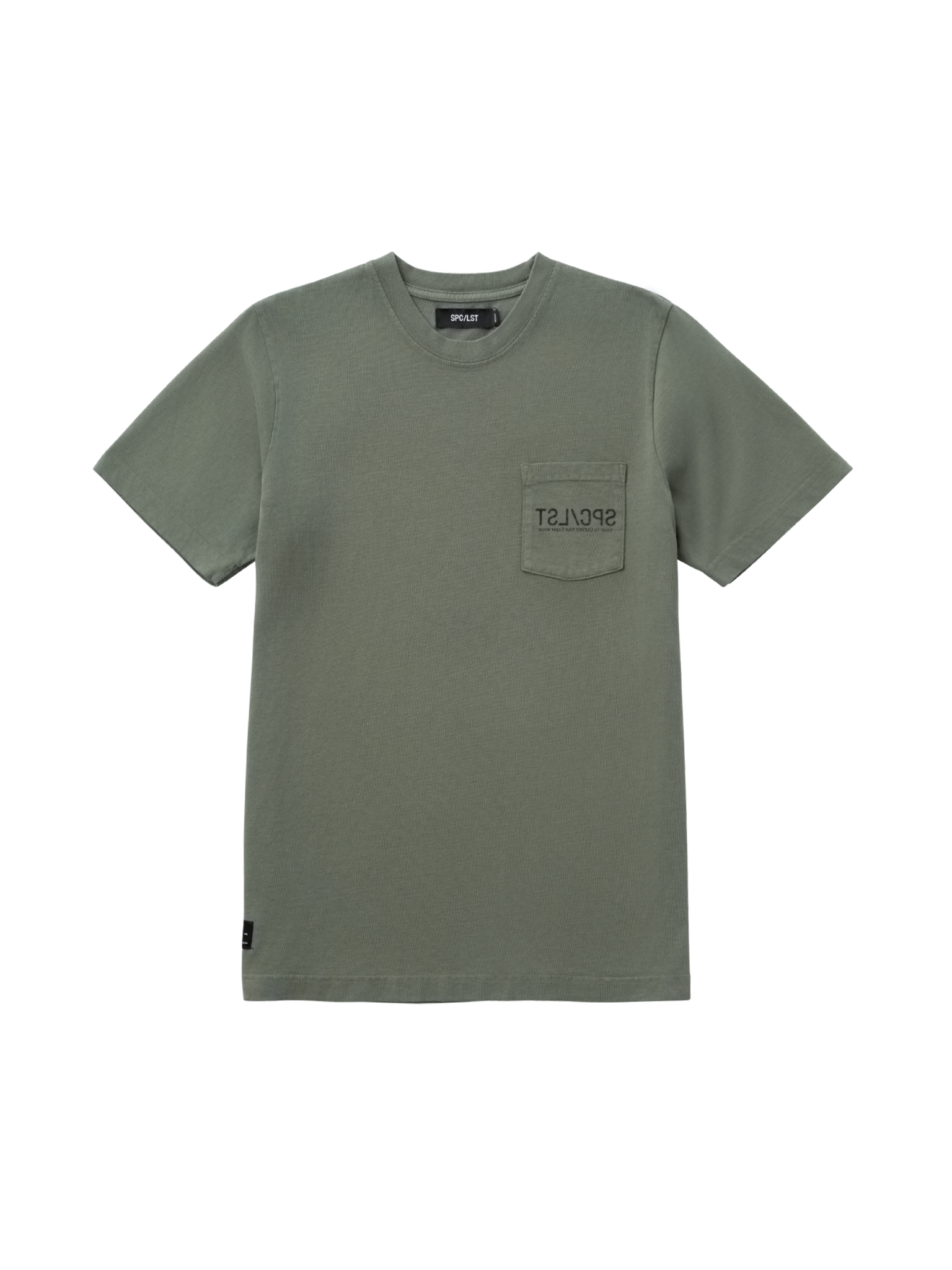 Cerebral_01T
