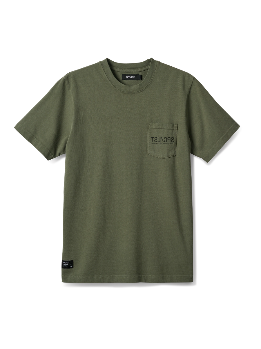 Cerebral_01T